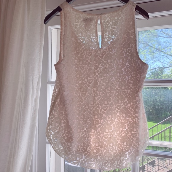 Talula cream lace over pink/nude lining top - Picture 5 of 6